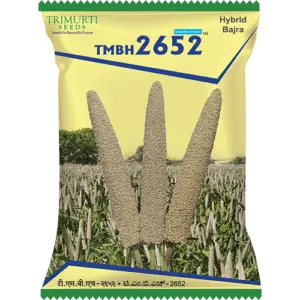 TMBH 2652