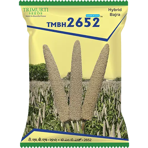 TMBH 2652