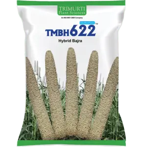TMBH 622