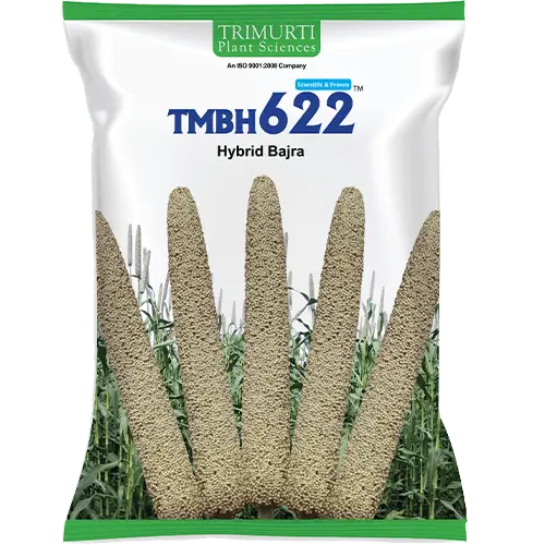 TMBH 622