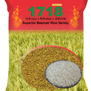 PB 1718