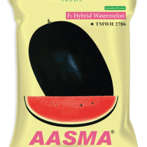 Aasma (TMWH 2786)