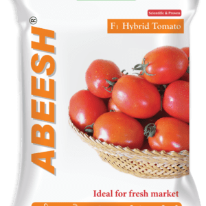 Abeesh (TMTH 222)