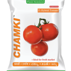 Chamki