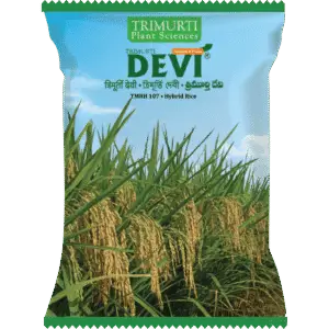 DEVI (TMRH 107)