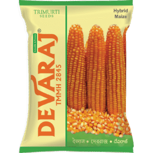 Devaraj (TMMH 2845)