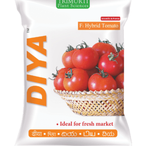 Diya (TMTH 208)