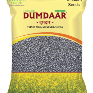 Dhumdaar
