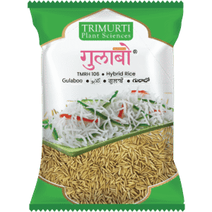 GULABOO (TMRH 106)