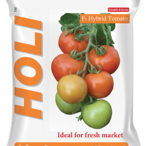 Holi