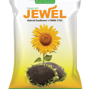 Jewel (TMSF 1701)