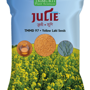Julie (TMMD 97)