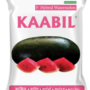 Kaabil (TMWH 711)