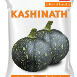 Kashinath (TMPU 1818)