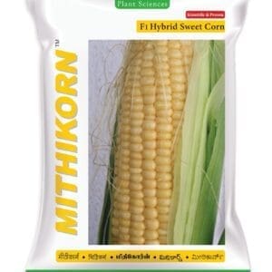 MithiKorn