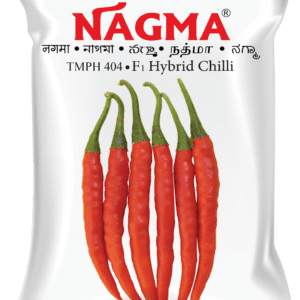 Nagma (TMPH 404)
