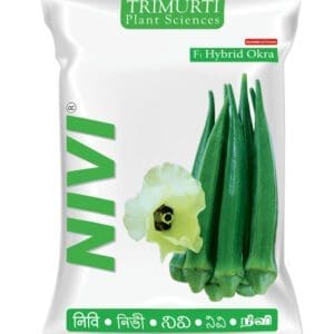 Nivi (TMOH 306)