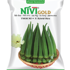 Nivi Gold (TMOH 303)