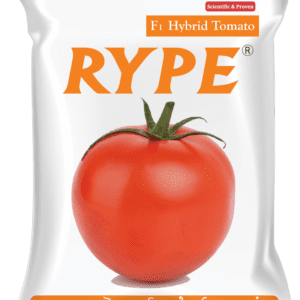 Rype (TMTH 205)