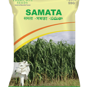 Samata (TMFH 3211)