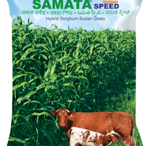 Samata Speed (TMFH 3206)