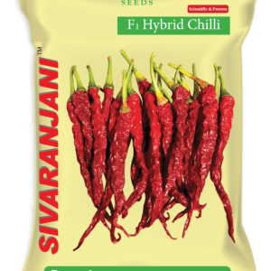 TMPH 403 (SIVARANJANI)