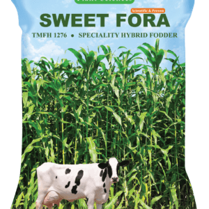 Sweet Fora (TMFH 1276)
