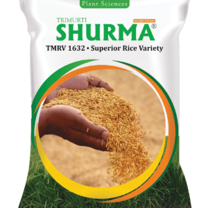 Shurma (TMRV 1632)