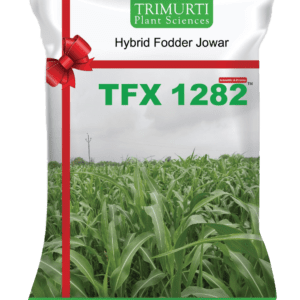 TFX 1282