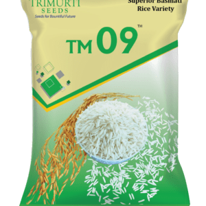 TM 09