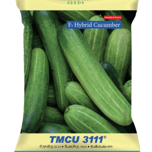 TMCU 3111