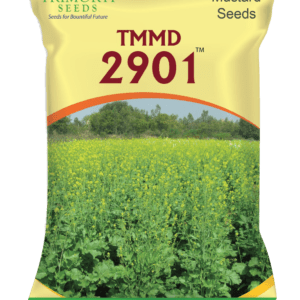 TMMD 2901