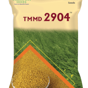 TMMD 2904