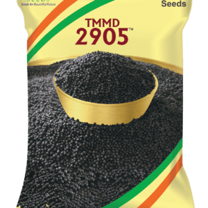 TMMD 2905