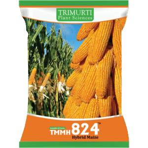 TMMH 824
