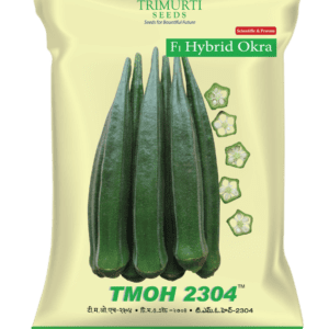 TMOH 2304