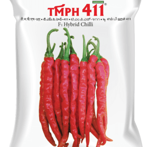 TMPH 411
