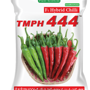 TMPH 444