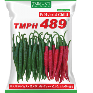 TMPH 489