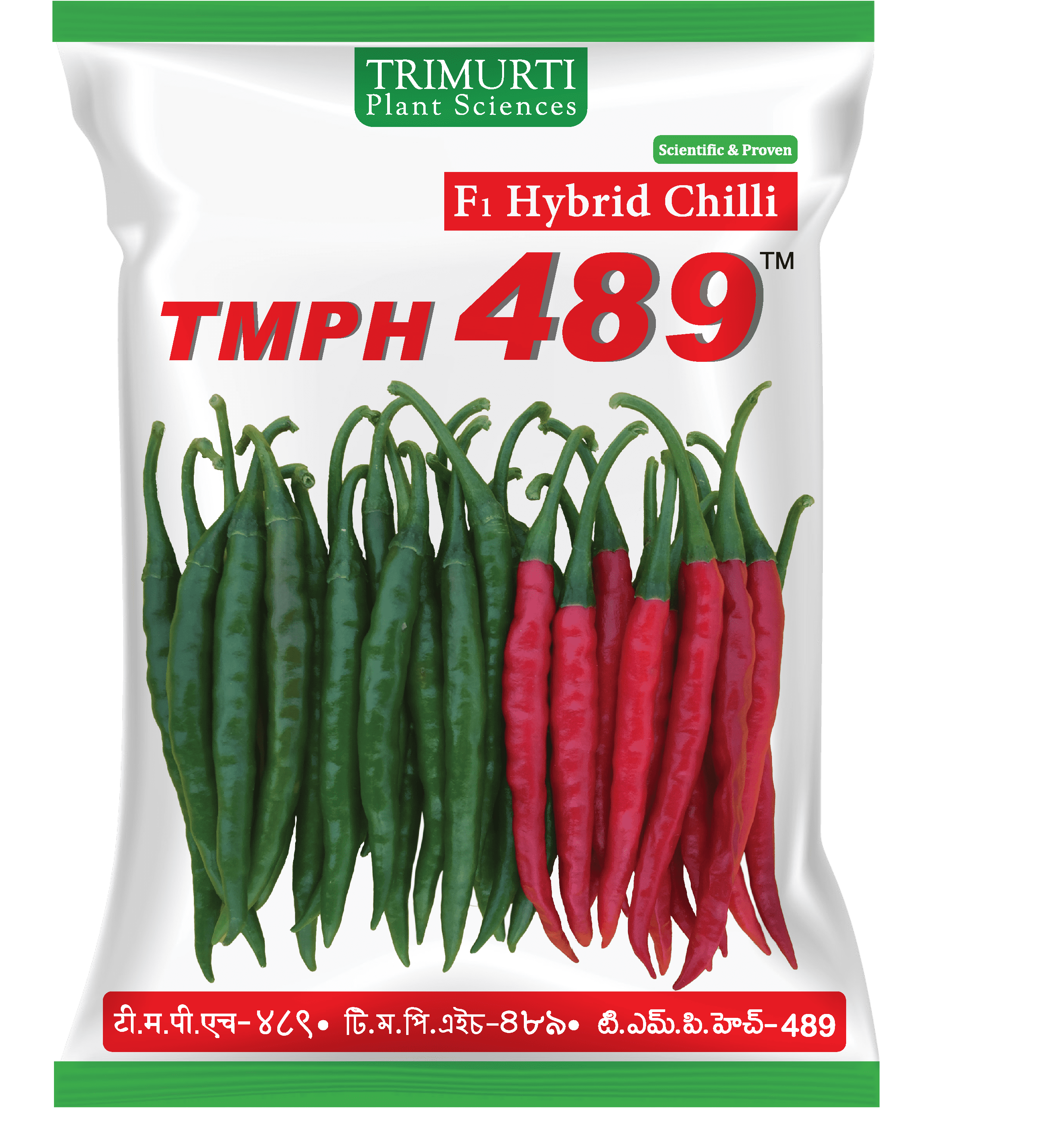 TMPH 489
