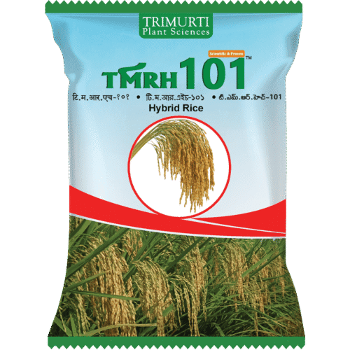 TMRH 101