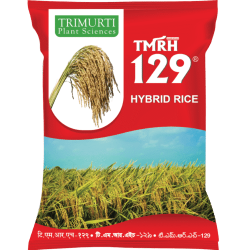 TMRH 129
