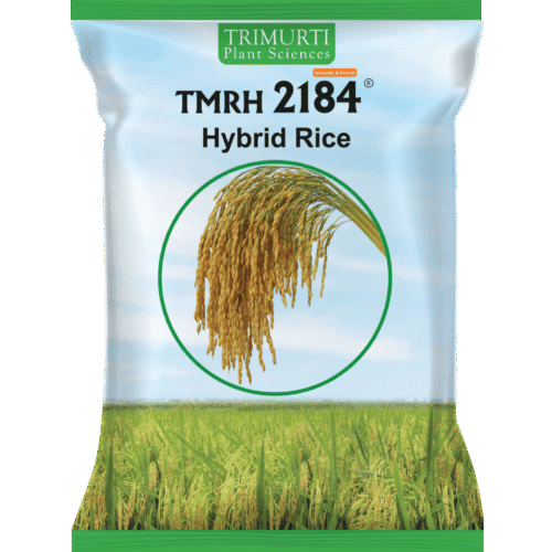 TMRH 2184
