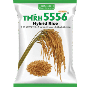 TMRH 5556