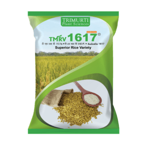 TMRV 1617