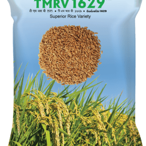 TMRV 1629