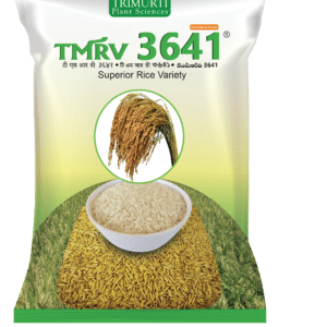 TMRV 3641
