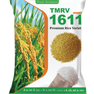 TMRV 1611