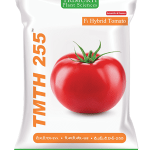 TMTH 255