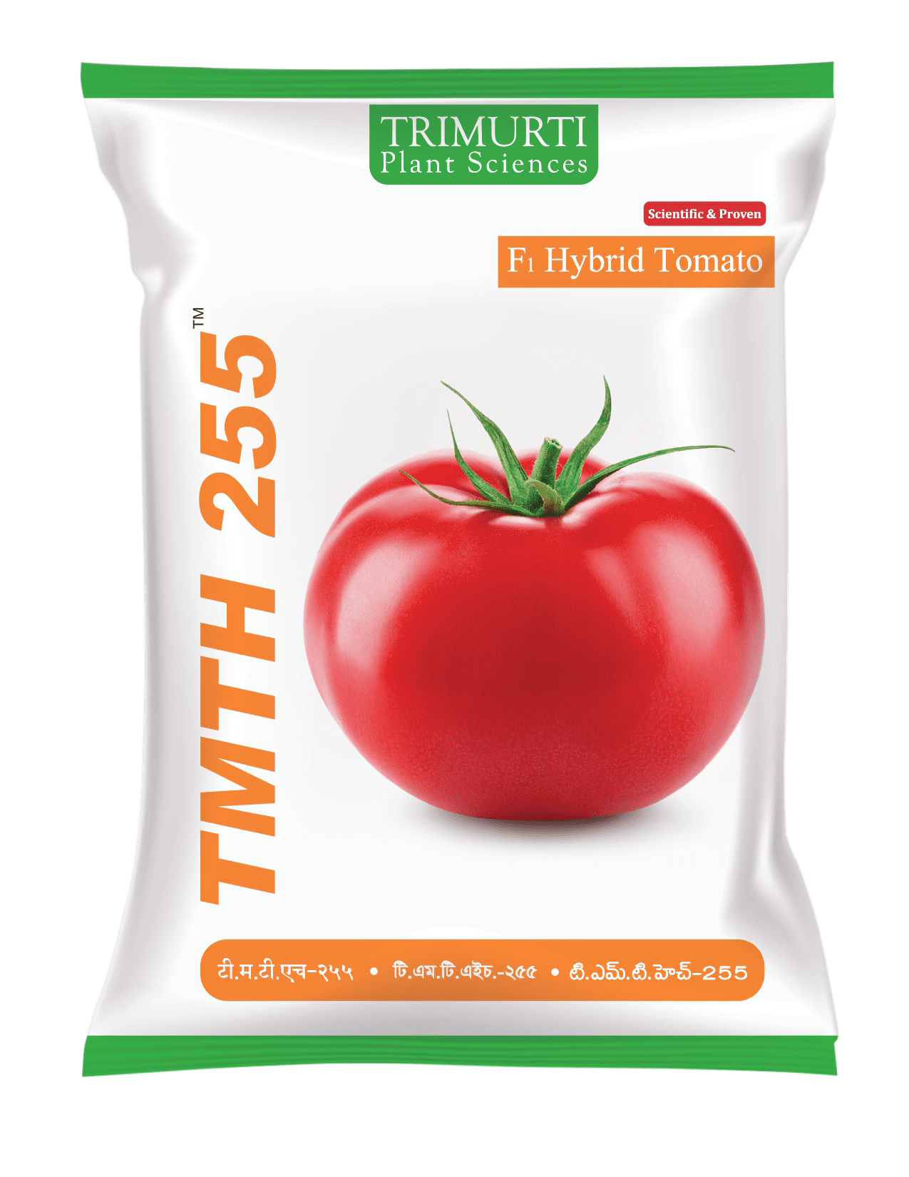 TMTH 255